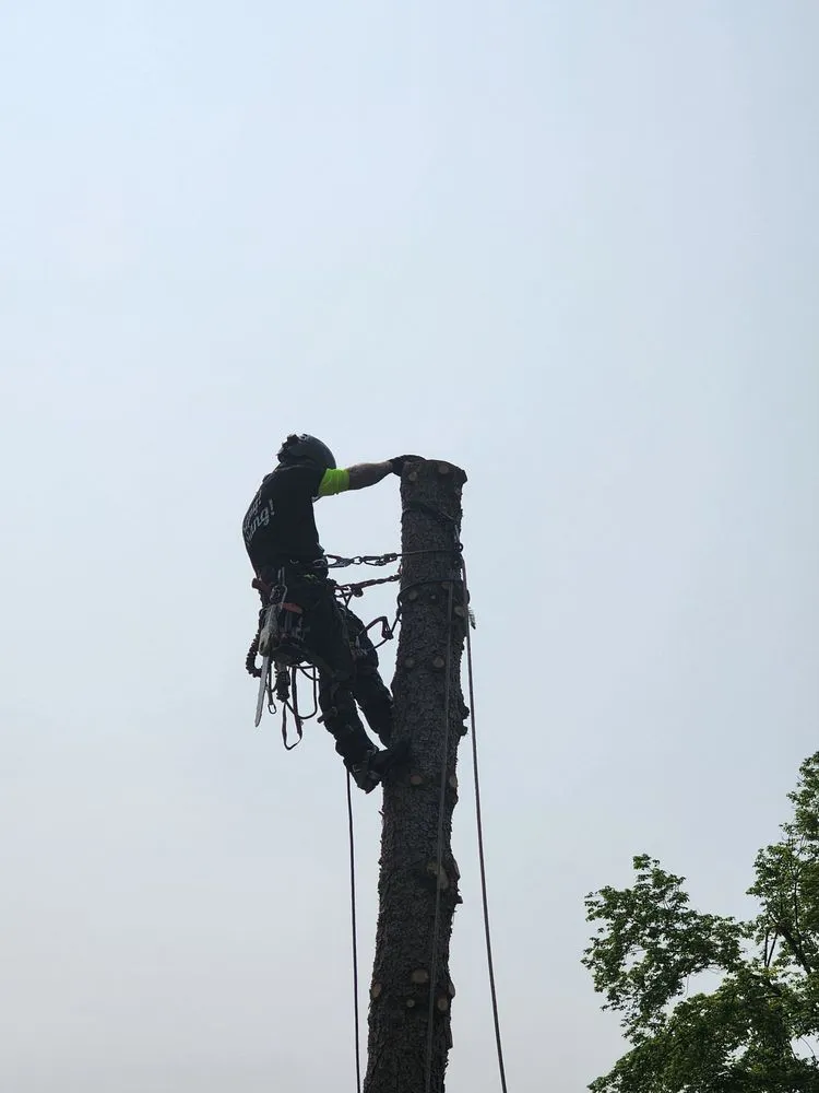 Custom outdoor landscaping in Farmington Hills, MI - True Cut Tree Care