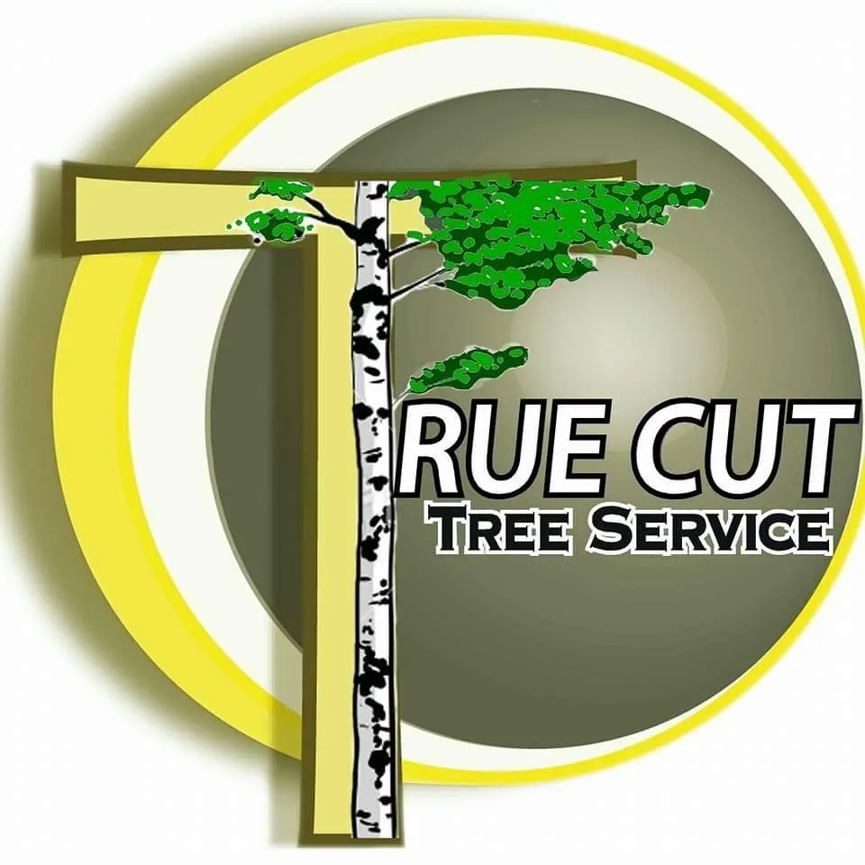 Expert yard maintenance with custom design across Farmington Hills, MI - True Cut Tree Care