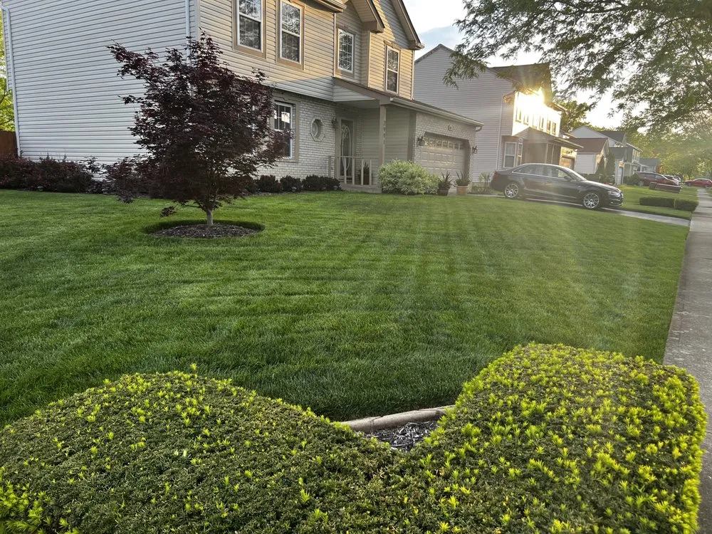 Professional yard cleanup service in Columbus, OH - True Cuts Landscaping