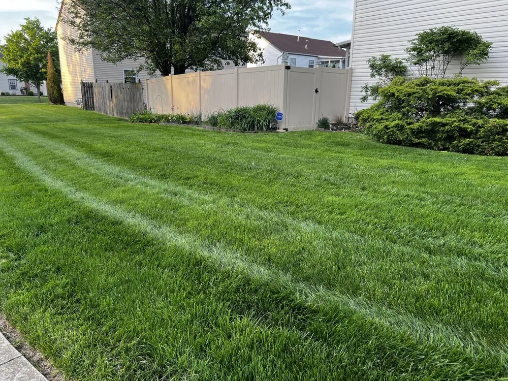 Expert yard maintenance experts serving Columbus, OH - True Cuts Landscaping