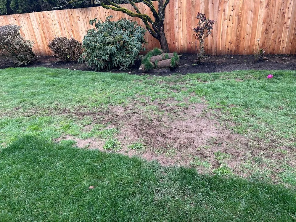 Local yard maintenance in Portland, OR - True Depth Services