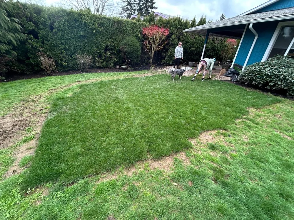 Reliable landscape installation for homes in Portland, OR by True Depth Services