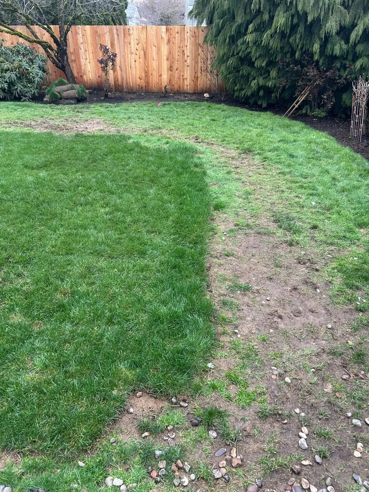 Affordable lawn care service in Portland, OR - True Depth Services