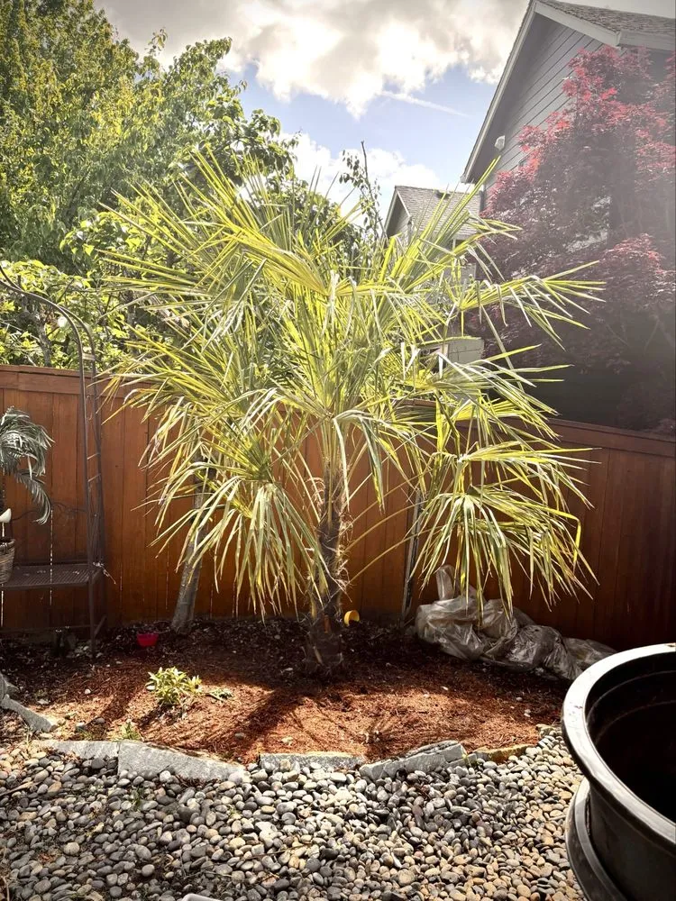 Reliable garden landscaping in Portland, OR by True Depth Services