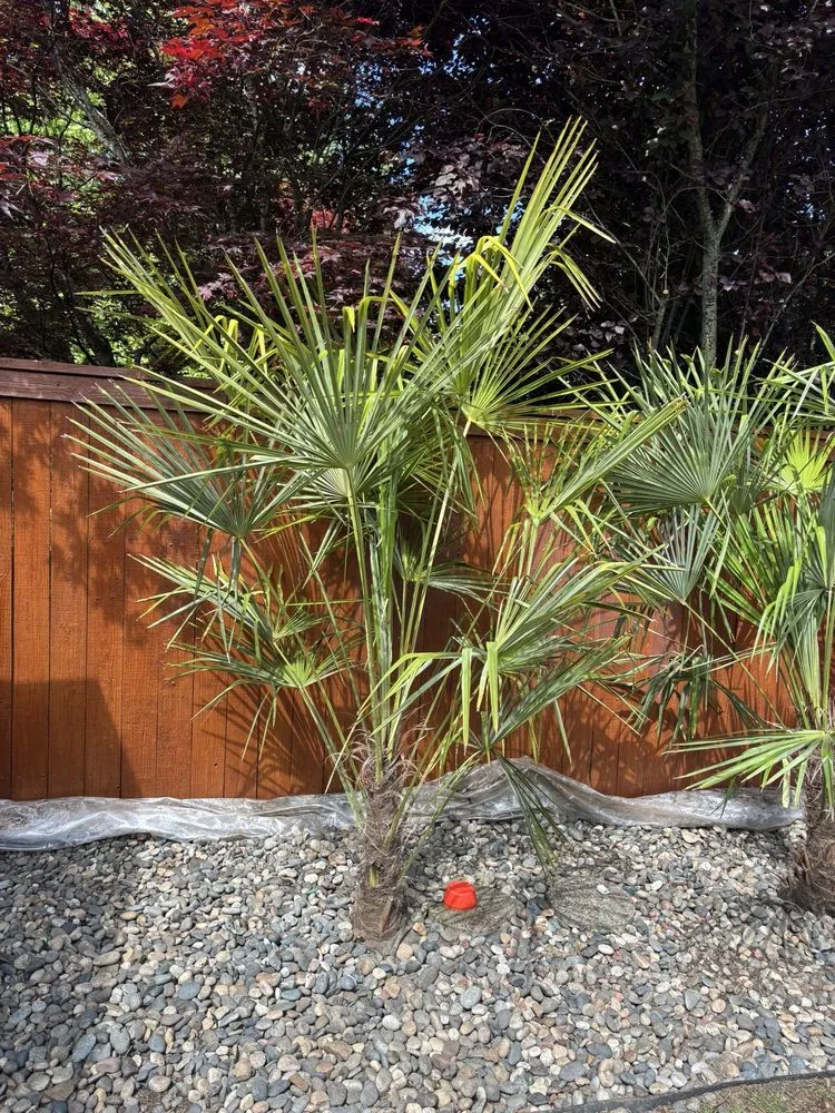 Reliable lawn mowing service experts serving Portland, OR - True Depth Services