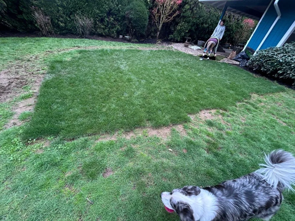 Affordable residential landscaping with custom design across Portland, OR - True Depth Services