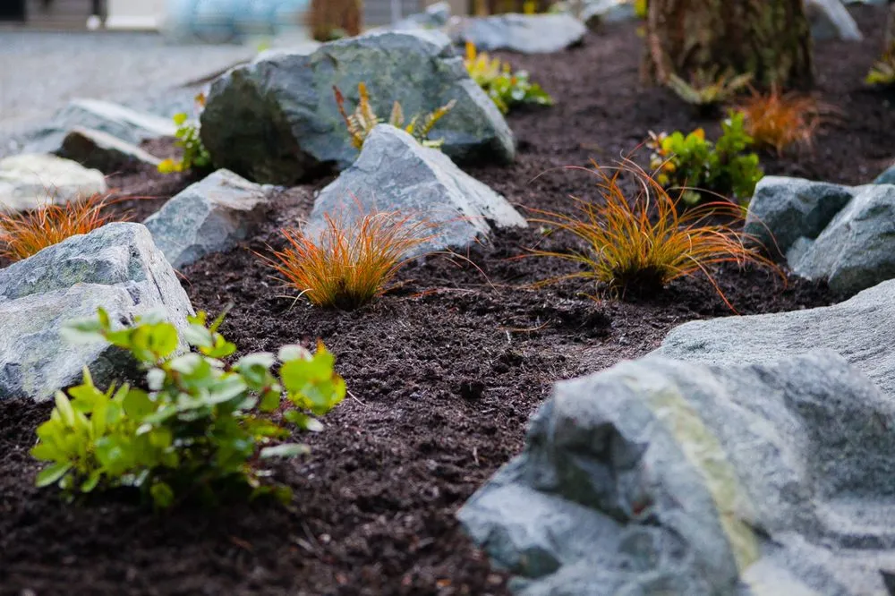 Trusted landscaping services for homes in Puyallup, WA by True Design Landscape