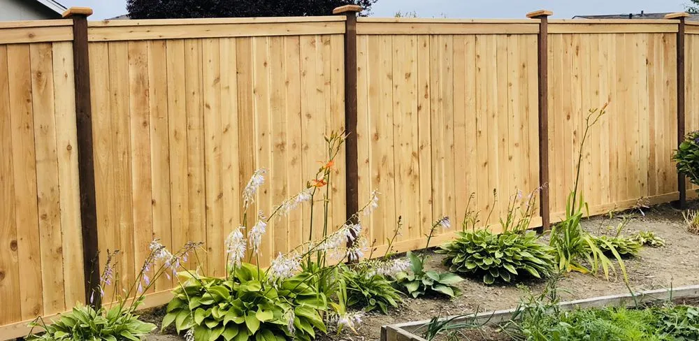 Affordable lawn care service in Puyallup, WA by True Design Landscape