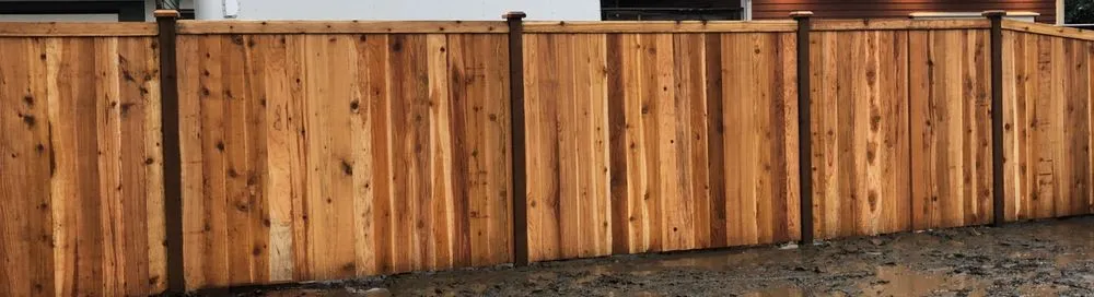 Reliable yard cleanup service in Puyallup, WA by True Design Landscape