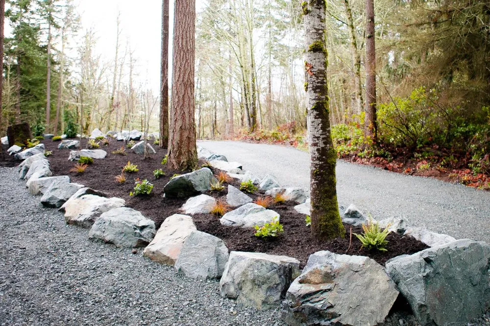Professional yard cleanup service near you in Puyallup, WA by True Design Landscape