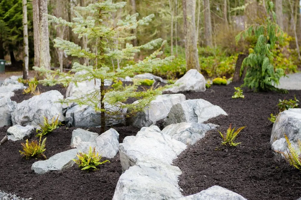 Local yard maintenance in Puyallup, WA - True Design Landscape