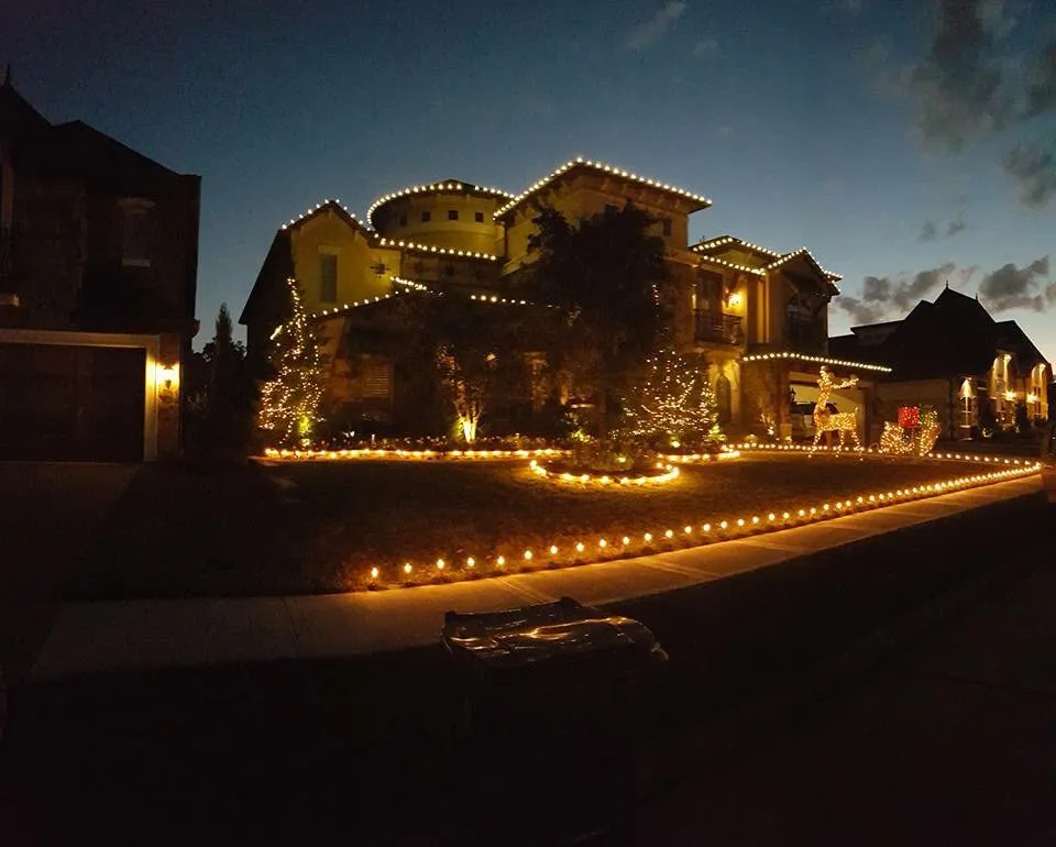 Trusted yard cleanup service experts serving Conroe, TX - True Dreams Lawn Service