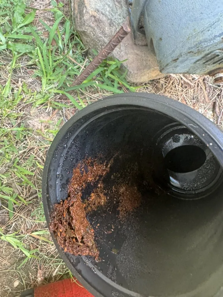 Custom yard cleanup service in Conroe, TX - True Dreams Lawn Service