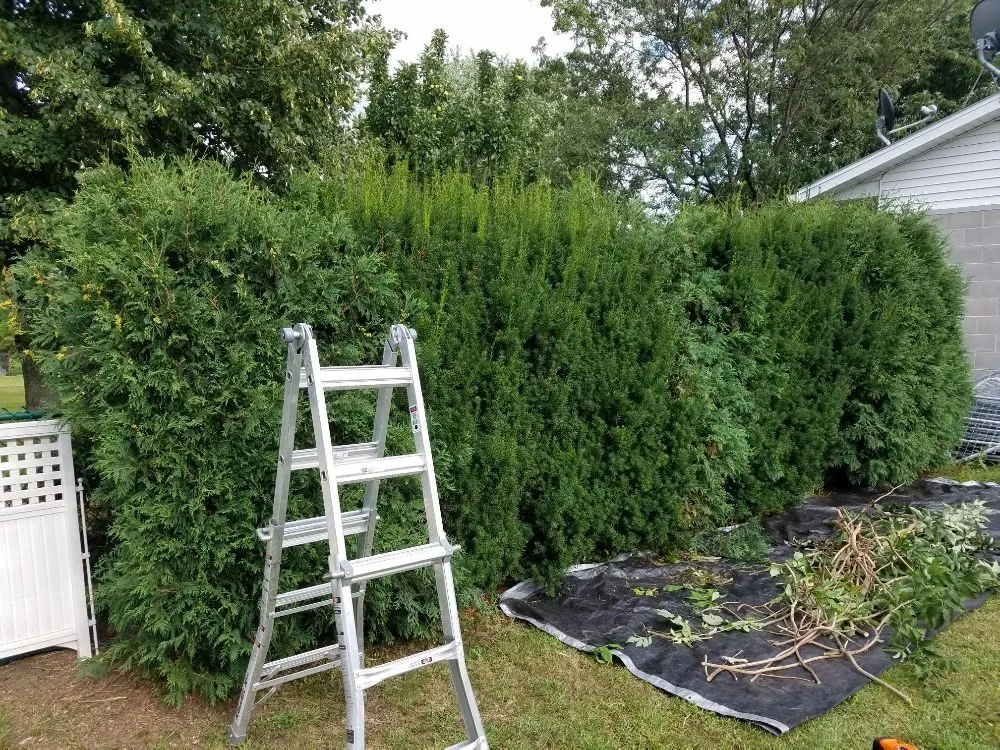 Professional landscaping services in Wausau, WI by True D'sign Landscaping