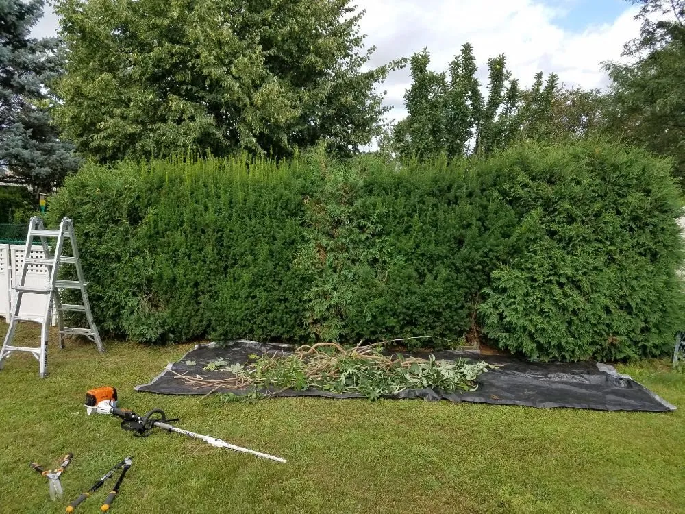 Reliable residential landscaping for year-round maintenance in Wausau, WI by True D'sign Landscaping