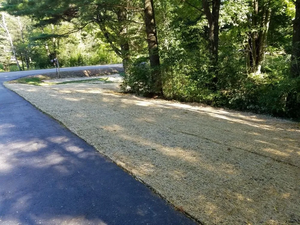 Affordable lawn care service experts serving Wausau, WI - True D'sign Landscaping