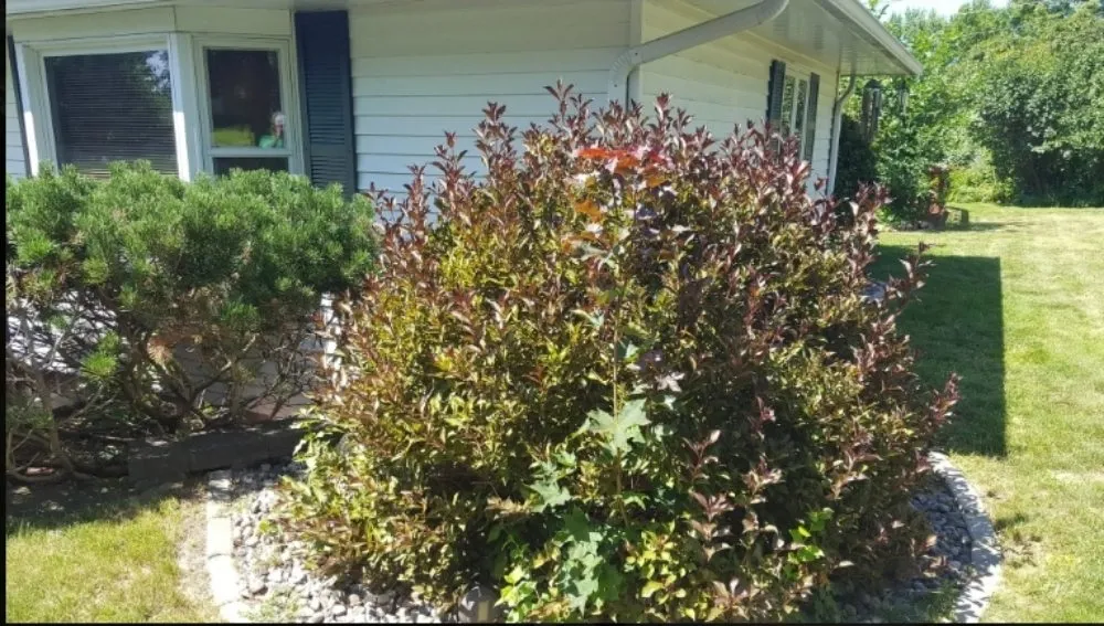 Expert residential landscaping for year-round maintenance across Wausau, WI - True D'sign Landscaping