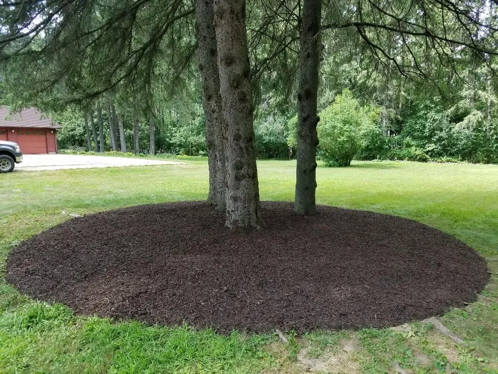 Professional landscape design in Wausau, WI - True D'sign Landscaping