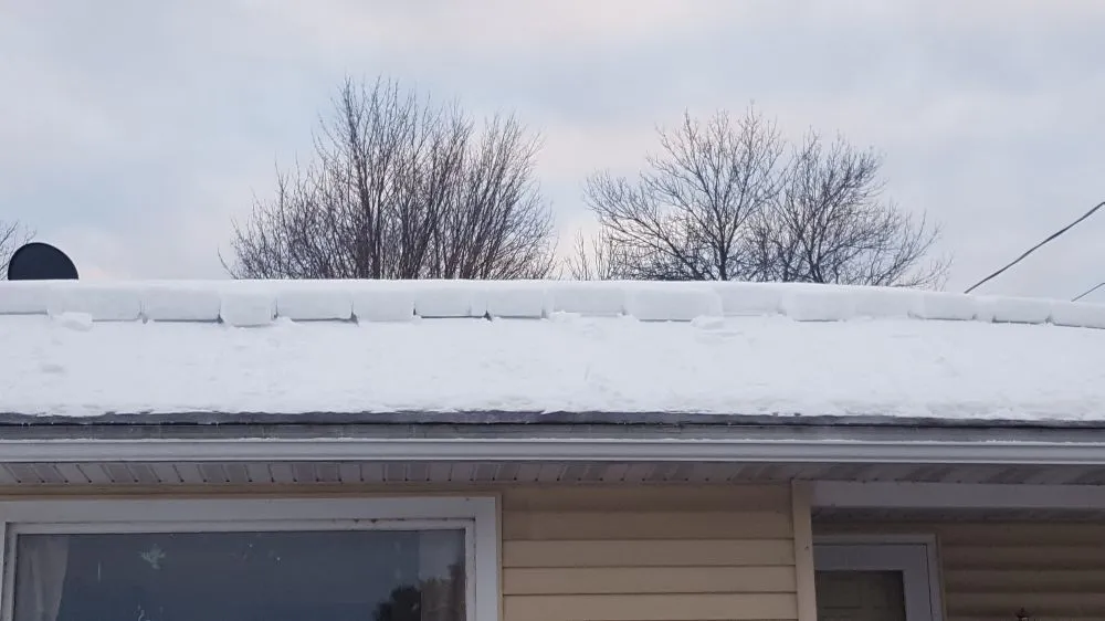 Custom yard cleanup service experts serving Wausau, WI - True D'sign Landscaping