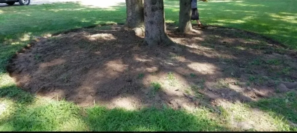 Custom yard maintenance for homes in Wausau, WI by True D'sign Landscaping