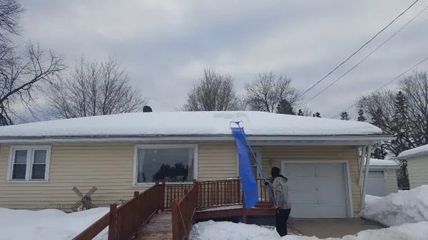 True D'sign Landscaping Logo