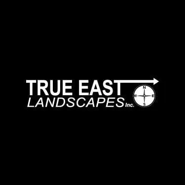 Reliable yard maintenance experts serving Springfield, MA - True East Landscapes Inc