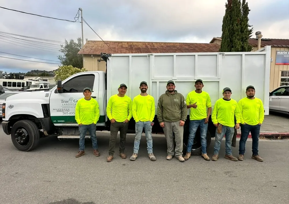 Reliable garden landscaping for beautiful yards across Larkspur, CA - True Green Landscape