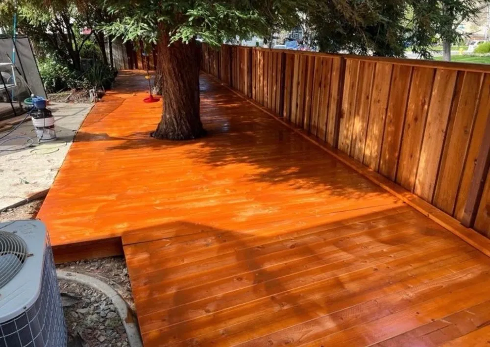 Expert residential landscaping in Larkspur, CA by True Green Landscape