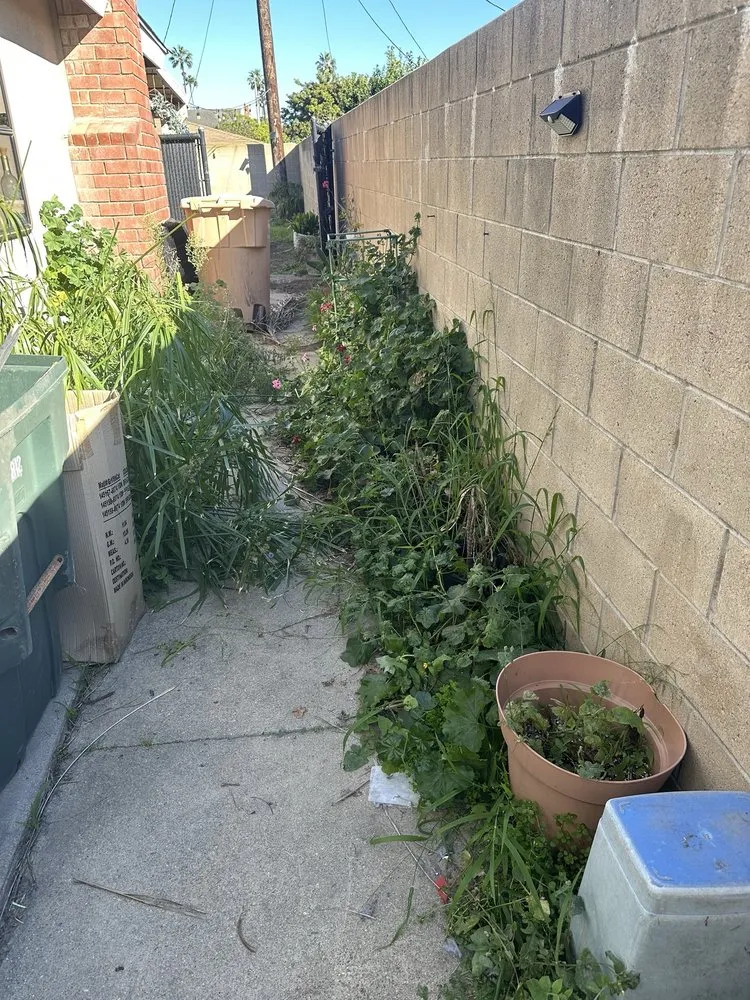 Professional lawn care service for outdoor upgrades across Oxnard, CA - True Green Landscape