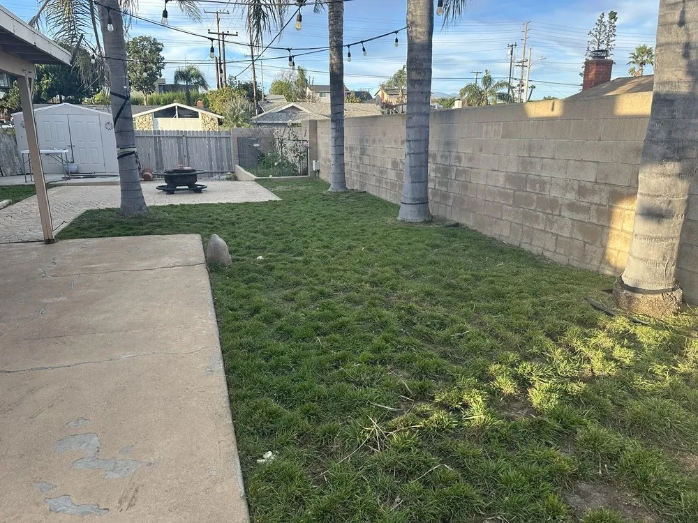 Reliable lawn mowing service with custom design across Oxnard, CA - True Green Landscape