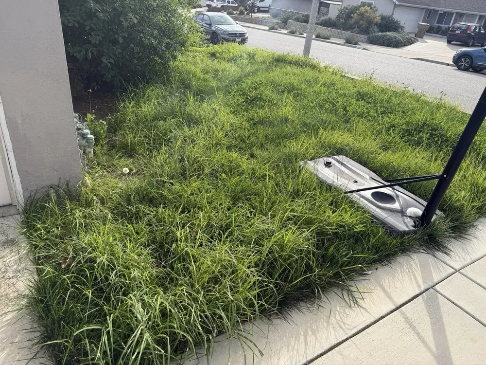 Local landscape design in Oxnard, CA - True Green Landscape