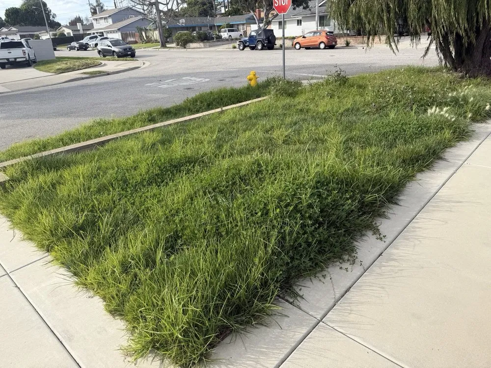 Custom residential landscaping in Oxnard, CA - True Green Landscape