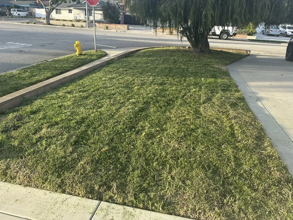 Professional landscape installation in Oxnard, CA by True Green Landscape