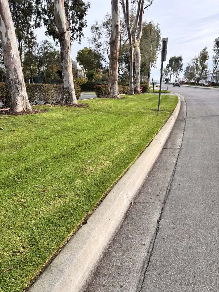 Trusted landscaping services in Oxnard, CA by True Green Landscape