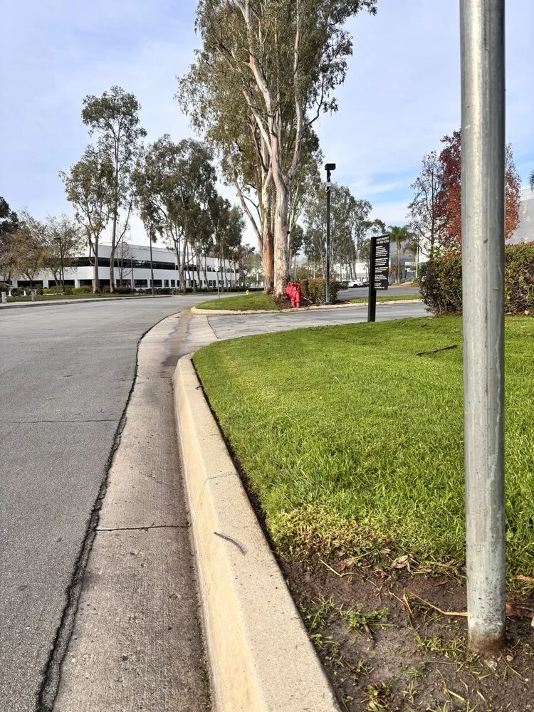 Top-rated lawn mowing service for homes in Oxnard, CA by True Green Landscape