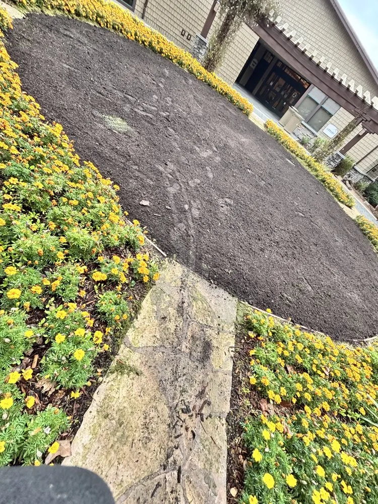 Expert garden landscaping in Oxnard, CA - True Green Landscape