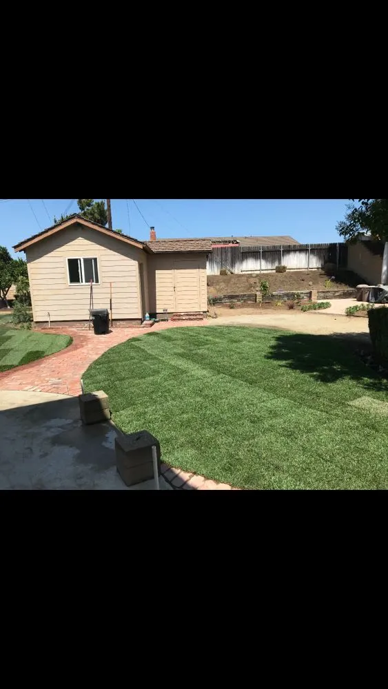 Trusted landscaping services in La Habra, CA - True Green Landscaping