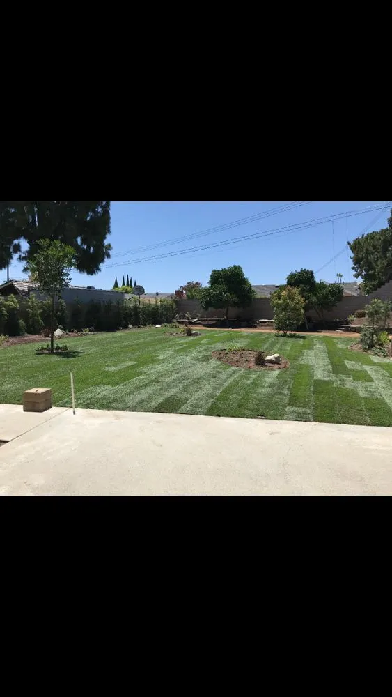 Reliable landscape installation with custom design in La Habra, CA by True Green Landscaping