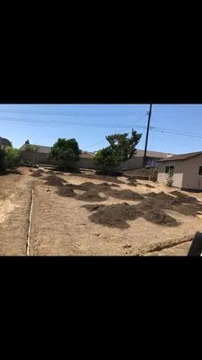 True Green Landscaping Logo