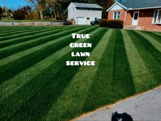 True Green Lawn Service Logo