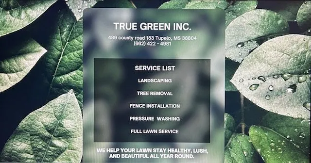 Custom outdoor landscaping for year-round maintenance across Tupelo, MS - True Green