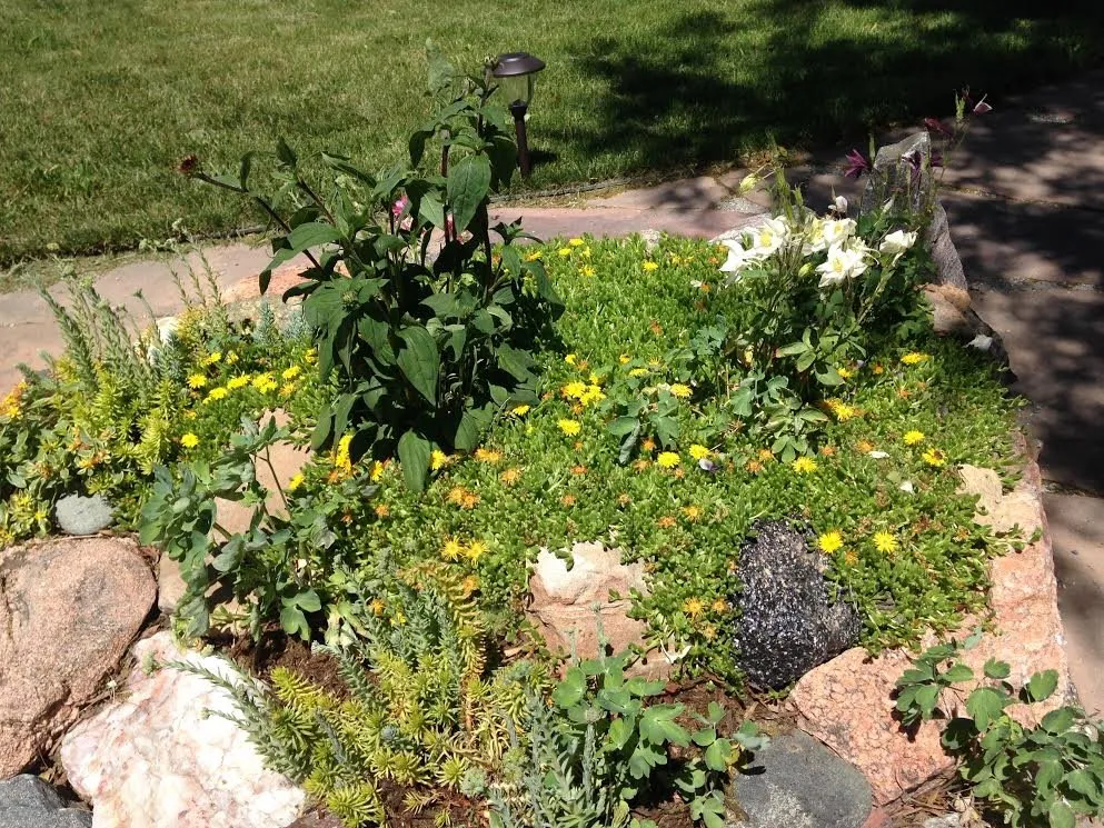 Reliable lawn mowing service in Englewood, CO - True Grit Custom Landscape & Design