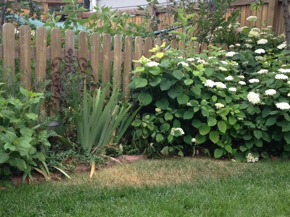 Professional landscape design experts serving Englewood, CO - True Grit Custom Landscape & Design