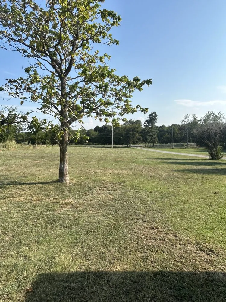 Custom landscape design for year-round maintenance across McAlester, OK - True Grit Lawn Care