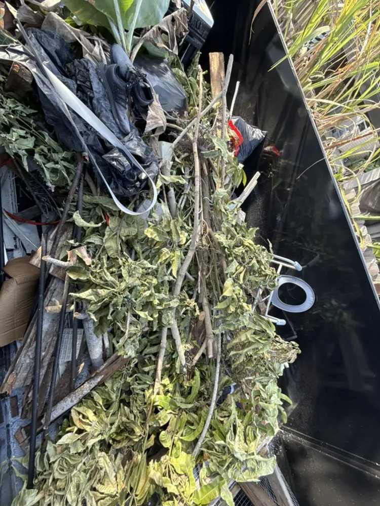 Trusted lawn care service in Miami, FL - True Haul Trailers