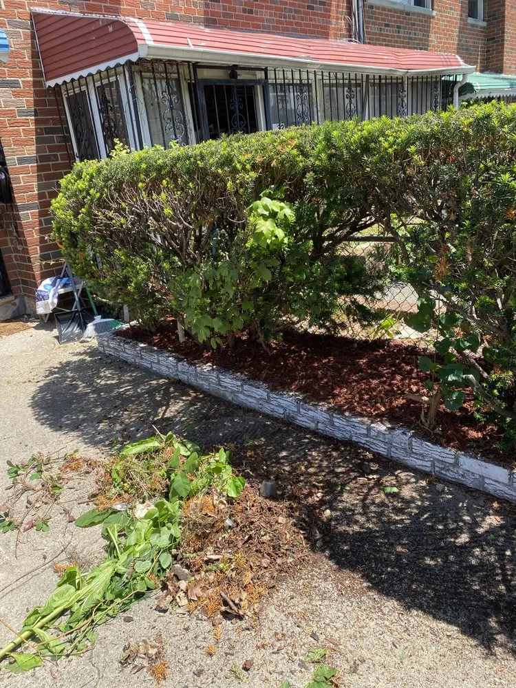 Reliable landscaping services experts serving North White Plains, NY - True Heart Construction And Project Management