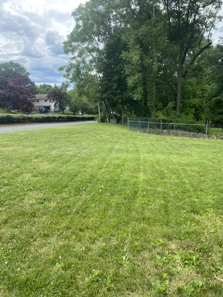 Trusted lawn mowing service in North White Plains, NY - True Heart Construction And Project Management