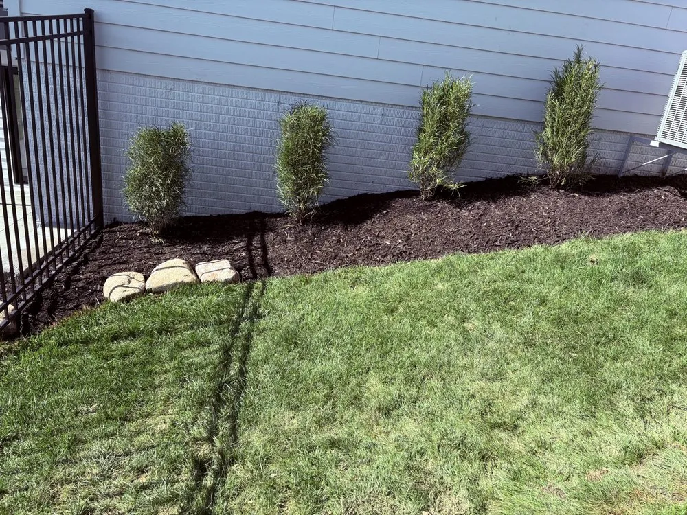 Expert yard cleanup service for beautiful yards in Omaha, NE by True Heights Landscaping