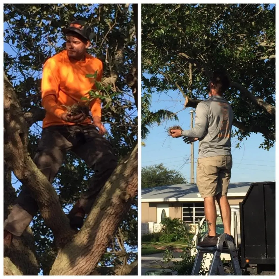 Custom landscaping services in Cooper City, FL by True Image Landscaping