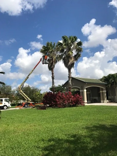 Expert yard maintenance experts serving Cooper City, FL - True Image Landscaping
